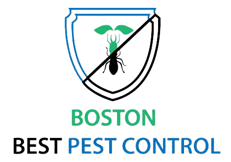 Boston Best Pest Control