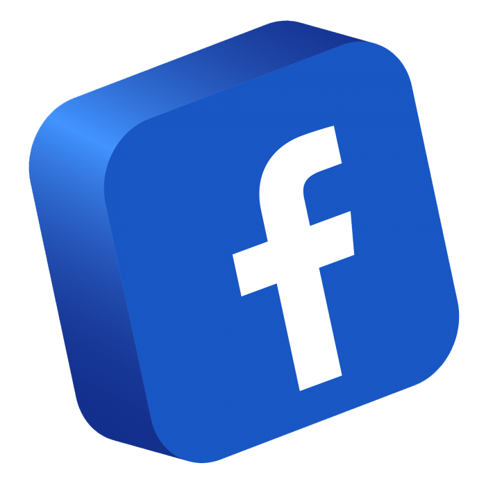 Facebook logo: white 
