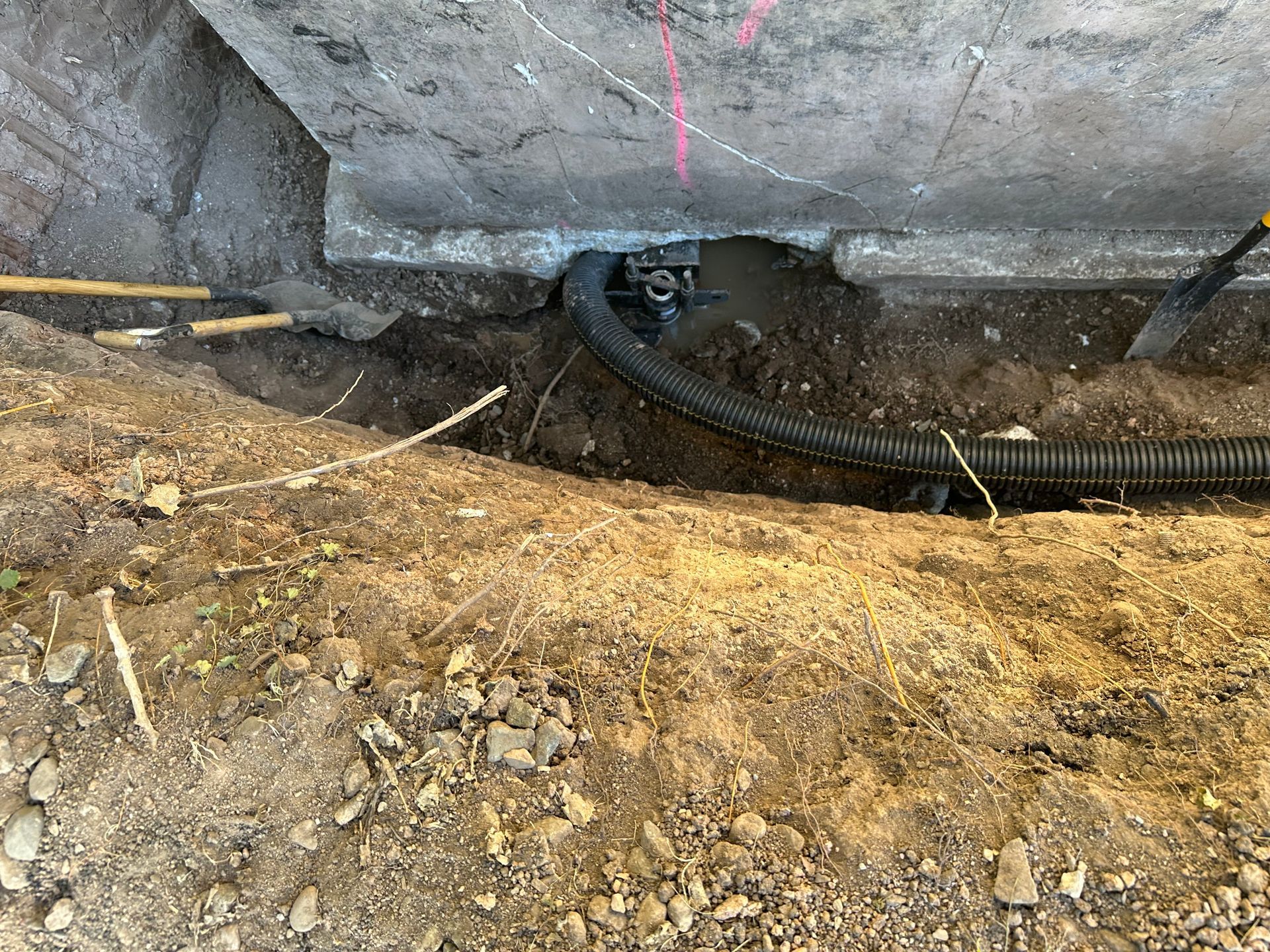 A hose is laying in the dirt next to a wall.