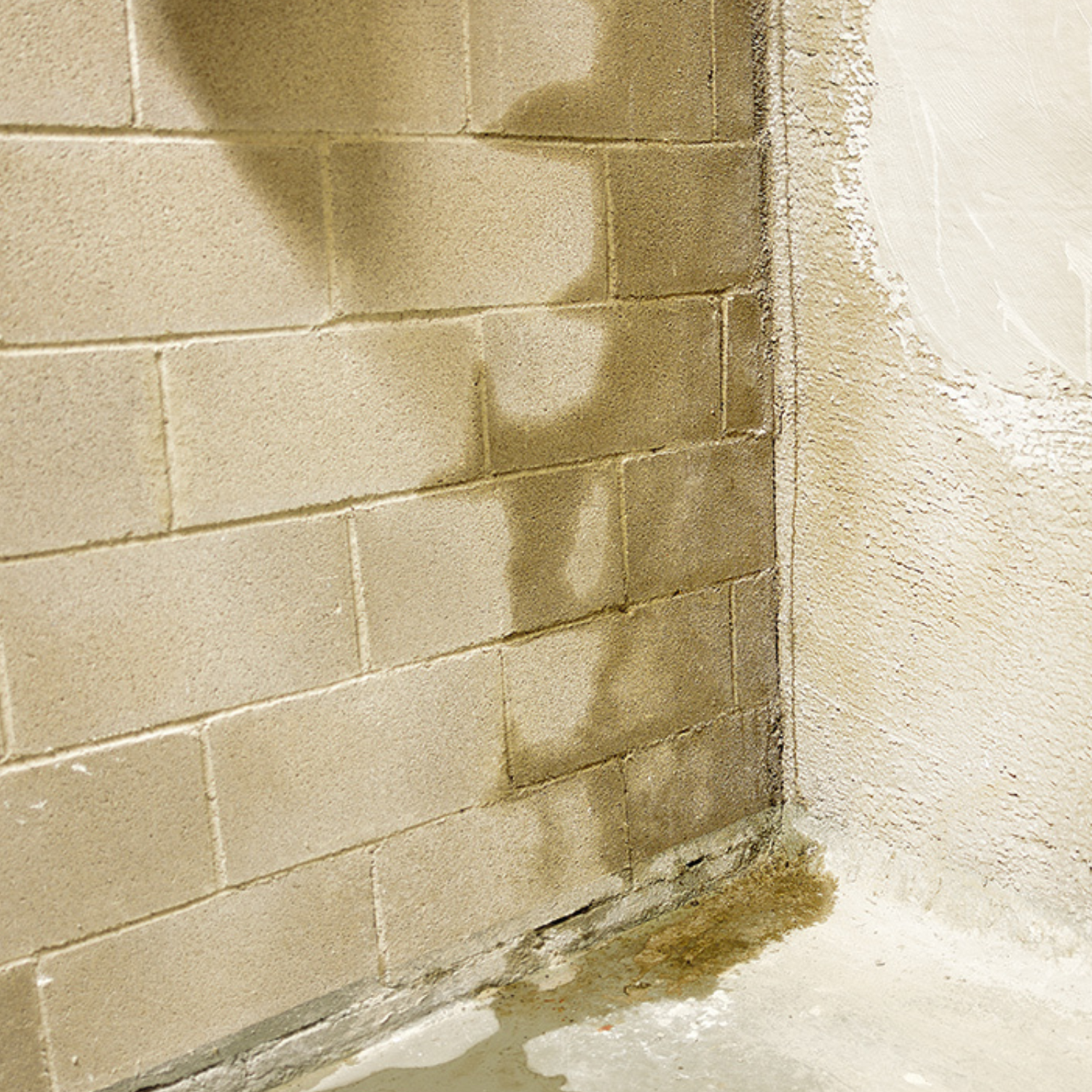 A brick wall with a shadow of a person on it