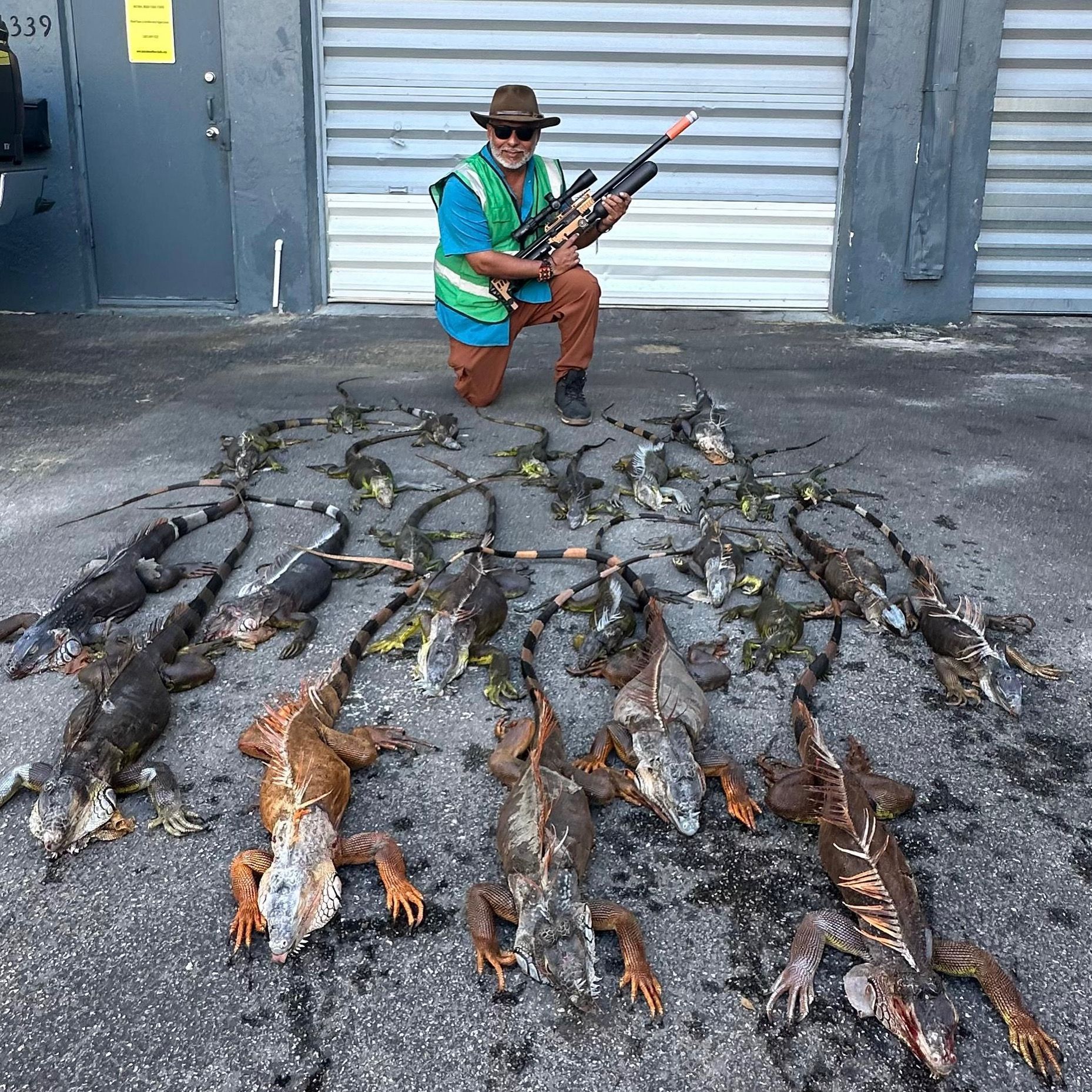 Man kneels with a rifle, surrounded by a pile of dead iguanas on asphalt.