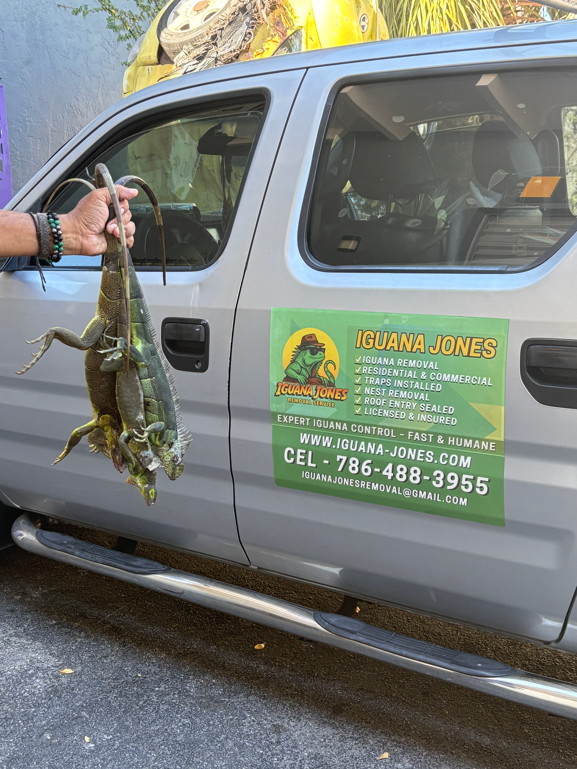 A person holds up a large frog next to a gray vehicle with a