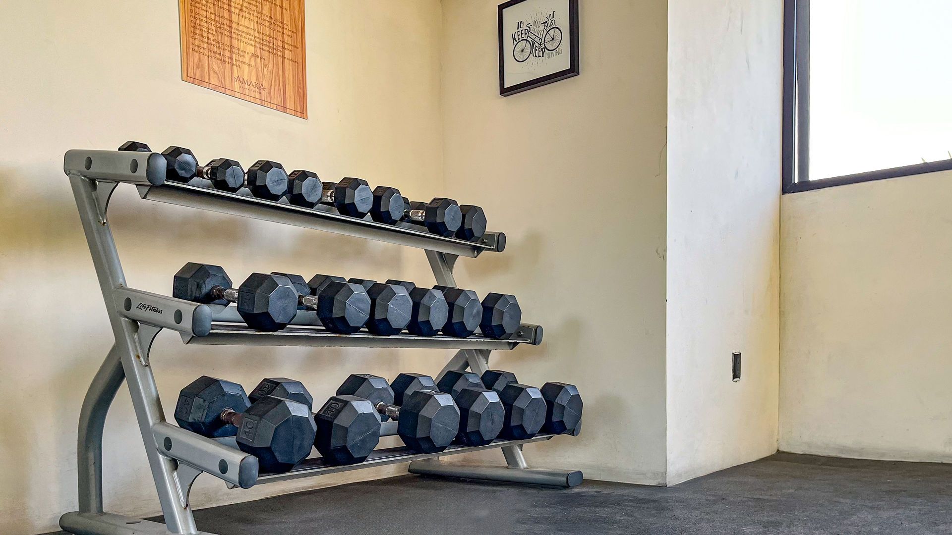 Mancuernas en un estante en una habitación con una ventana, obras de arte y una pared neutra.