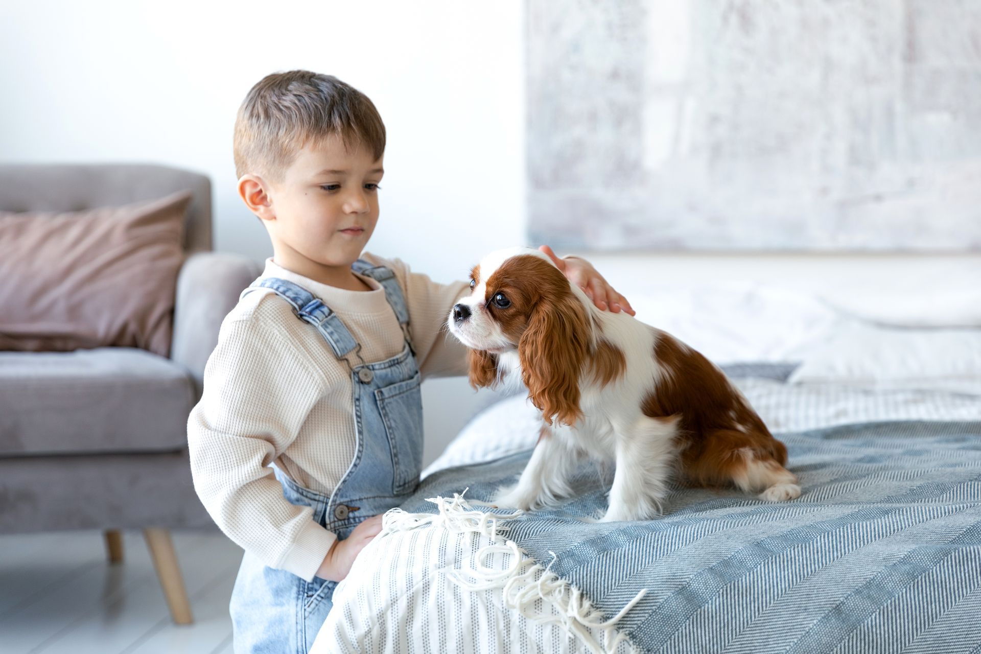 Boy in denim overalls petting a Cavalier King Charles Spaniel on a bed; bedroom setting.