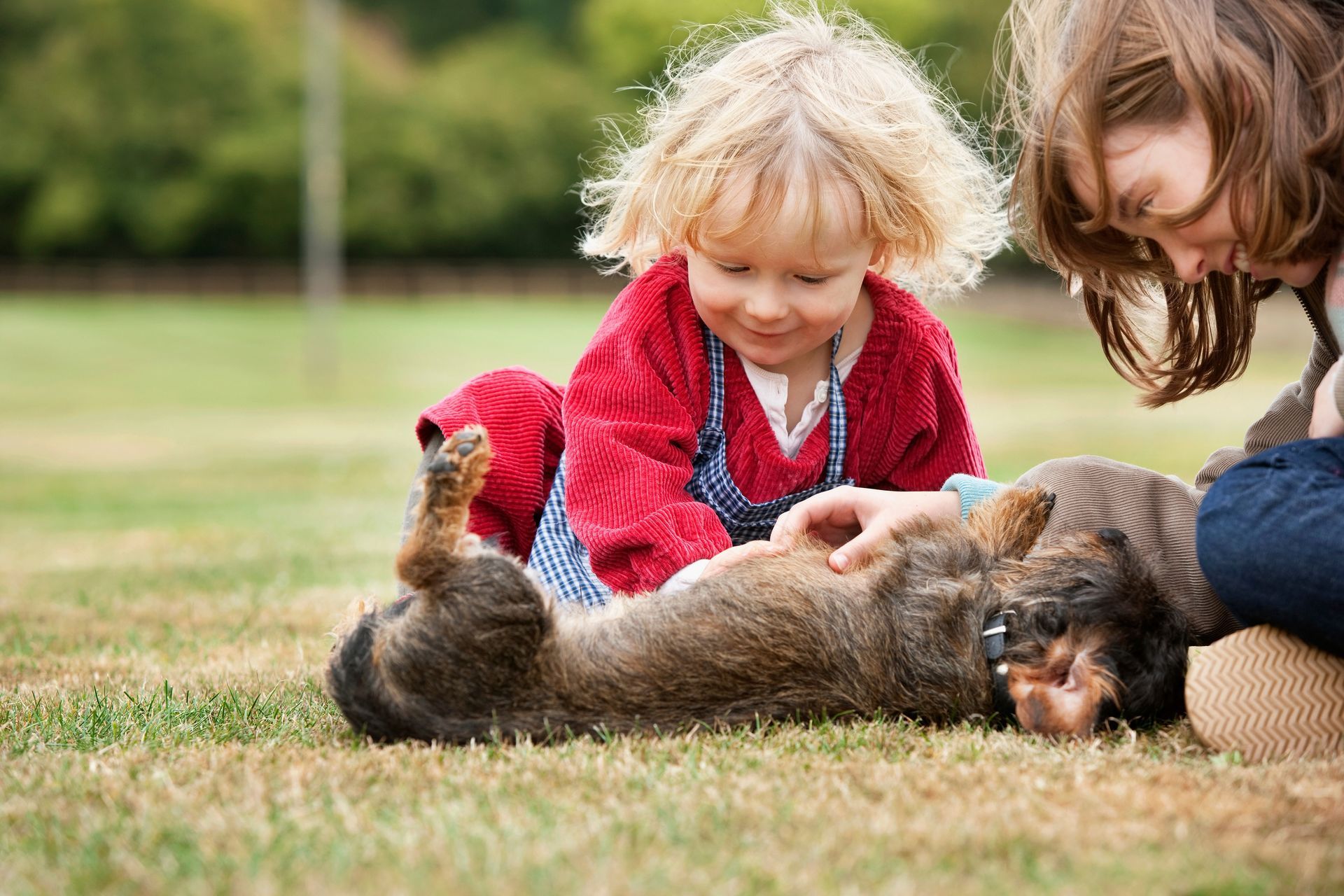 Child and adult petting a brown dog on the grass; the child smiles.