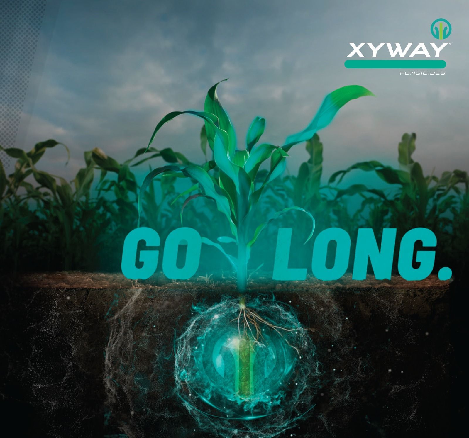 An advertisement for Xyway