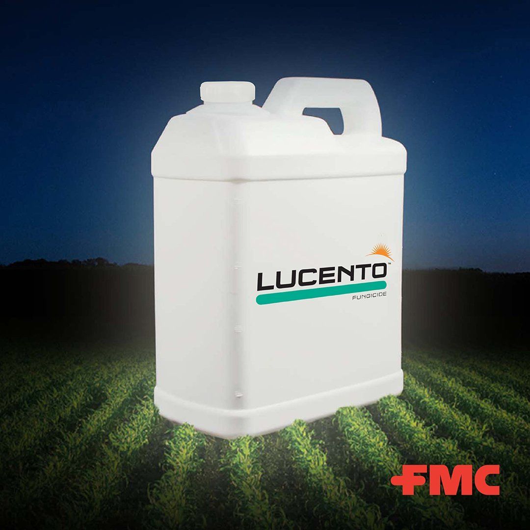 Lucento on Soybeans