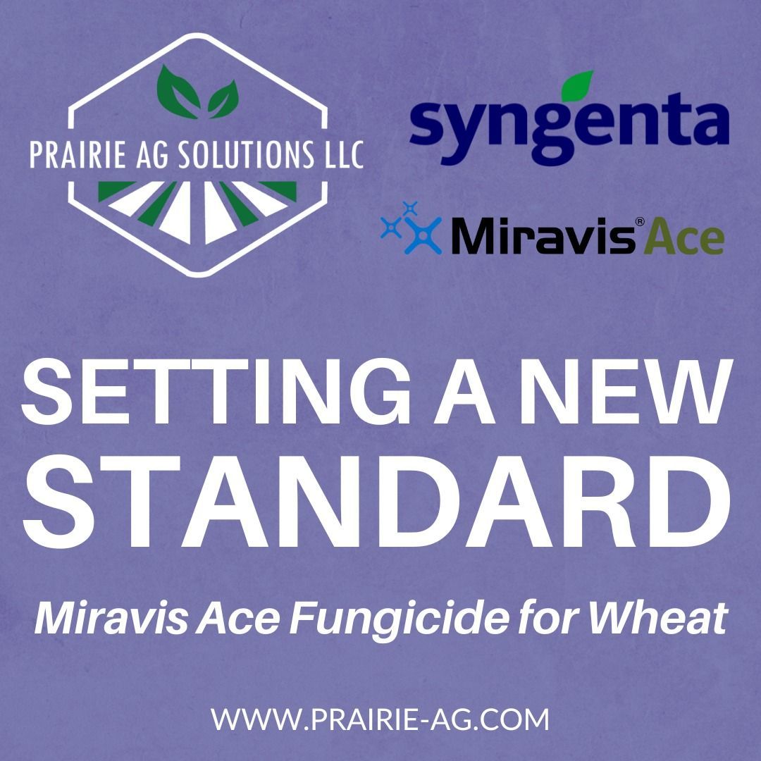 An advertisement for syngenta miravis ace fungicide for wheat