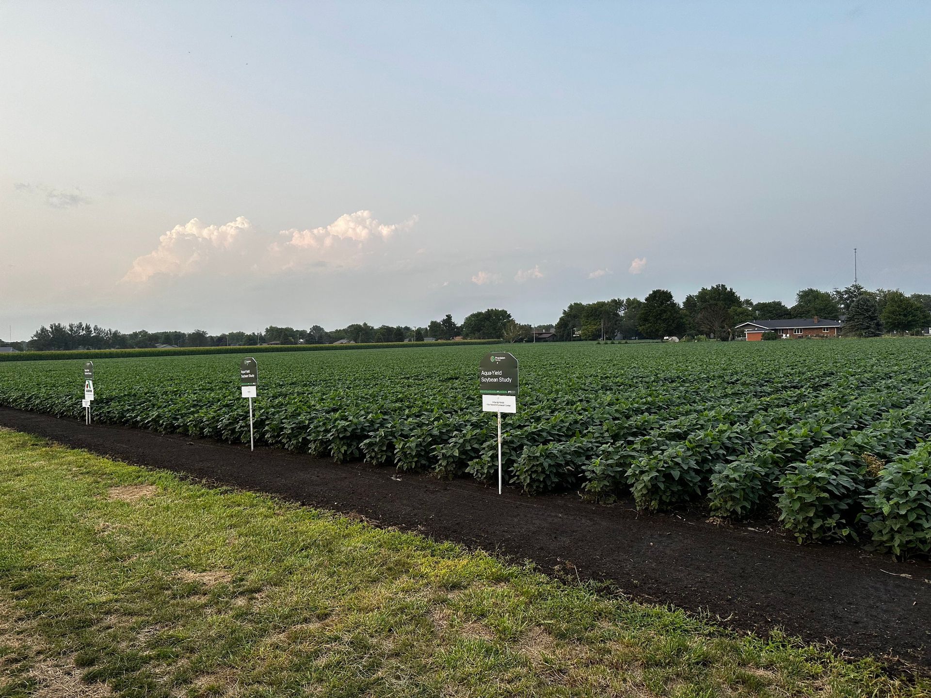 Nano-Yield Precision Planting Field