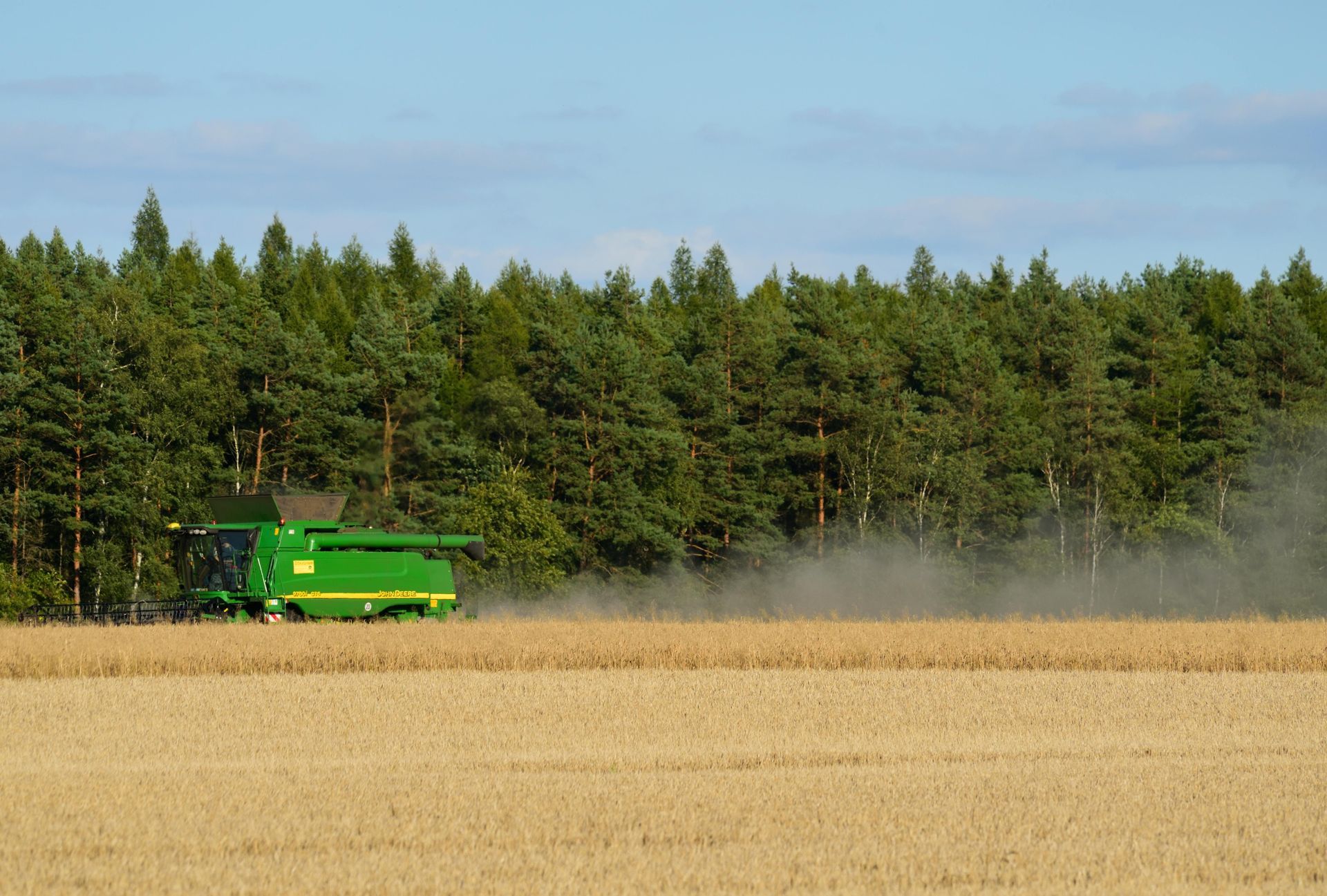 An aerial view of a combine harvester working in a corn field.
