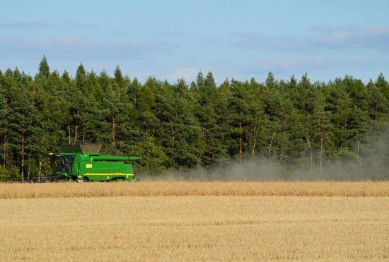 An aerial view of a combine harvester working in a corn field.
