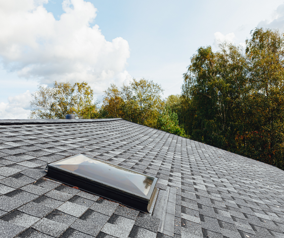 There is a skylight on the roof of a house.