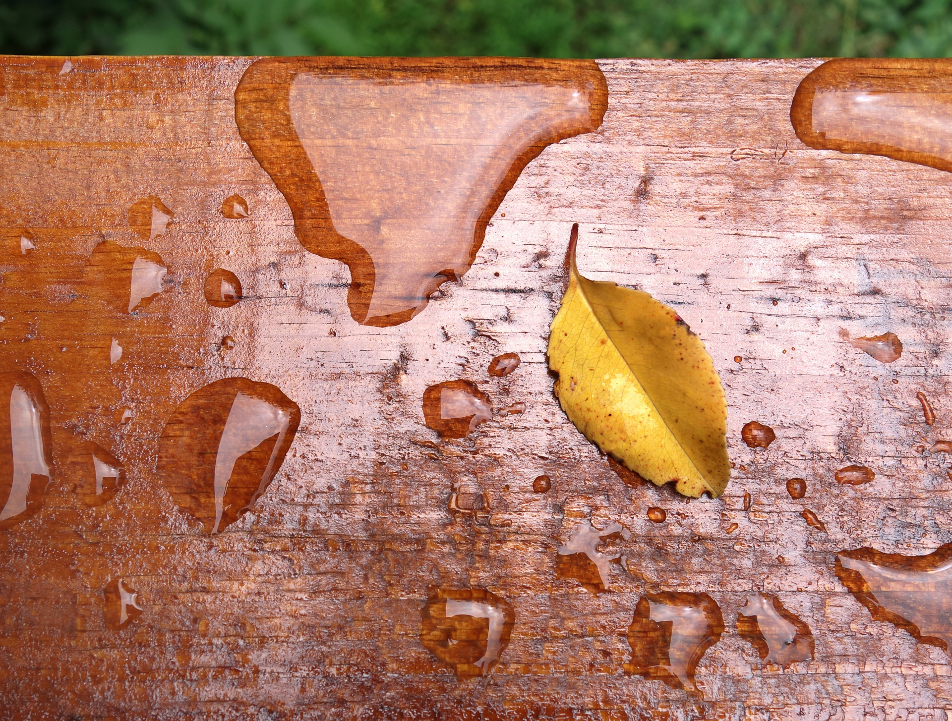 A yellow leaf is sitting on a wet wooden surface.