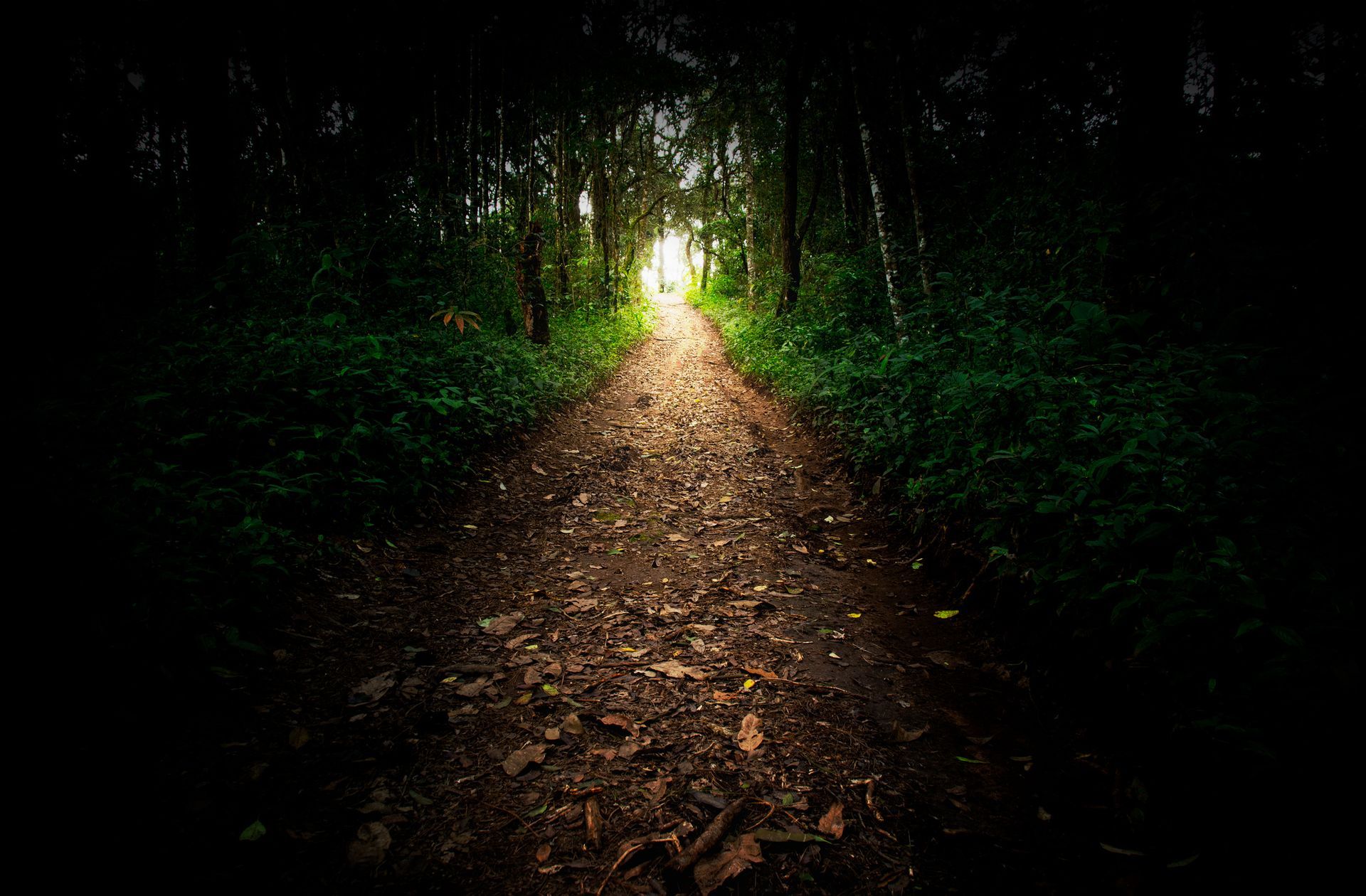 pathway through darkness toward light