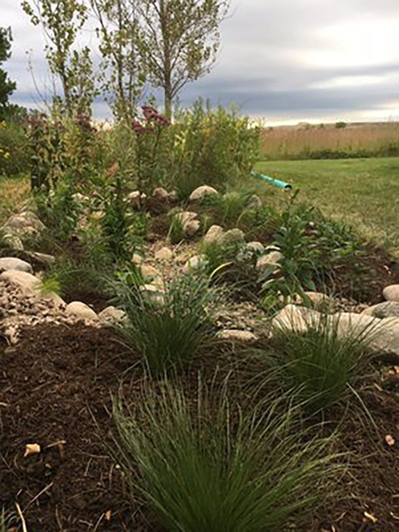 Rain Gardens