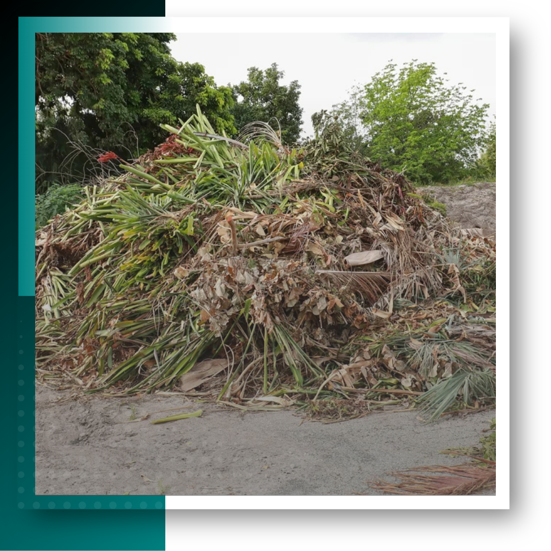 A pile of garden waste