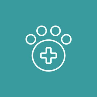 Consultation Icon — Vet in Shellharbour, NSW