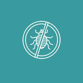 Flea Icon — Vet in Shellharbour, NSW