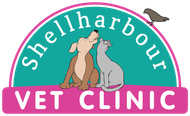 Shellharbour Veterinary Clinic: Your Trusted Vet in Shellharbour