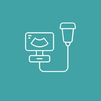 Animal Ultrasound — Vet in Shellharbour, NSW