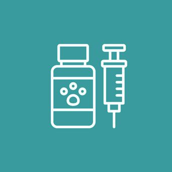 Vaccination Icon — Vet in Shellharbour, NSW