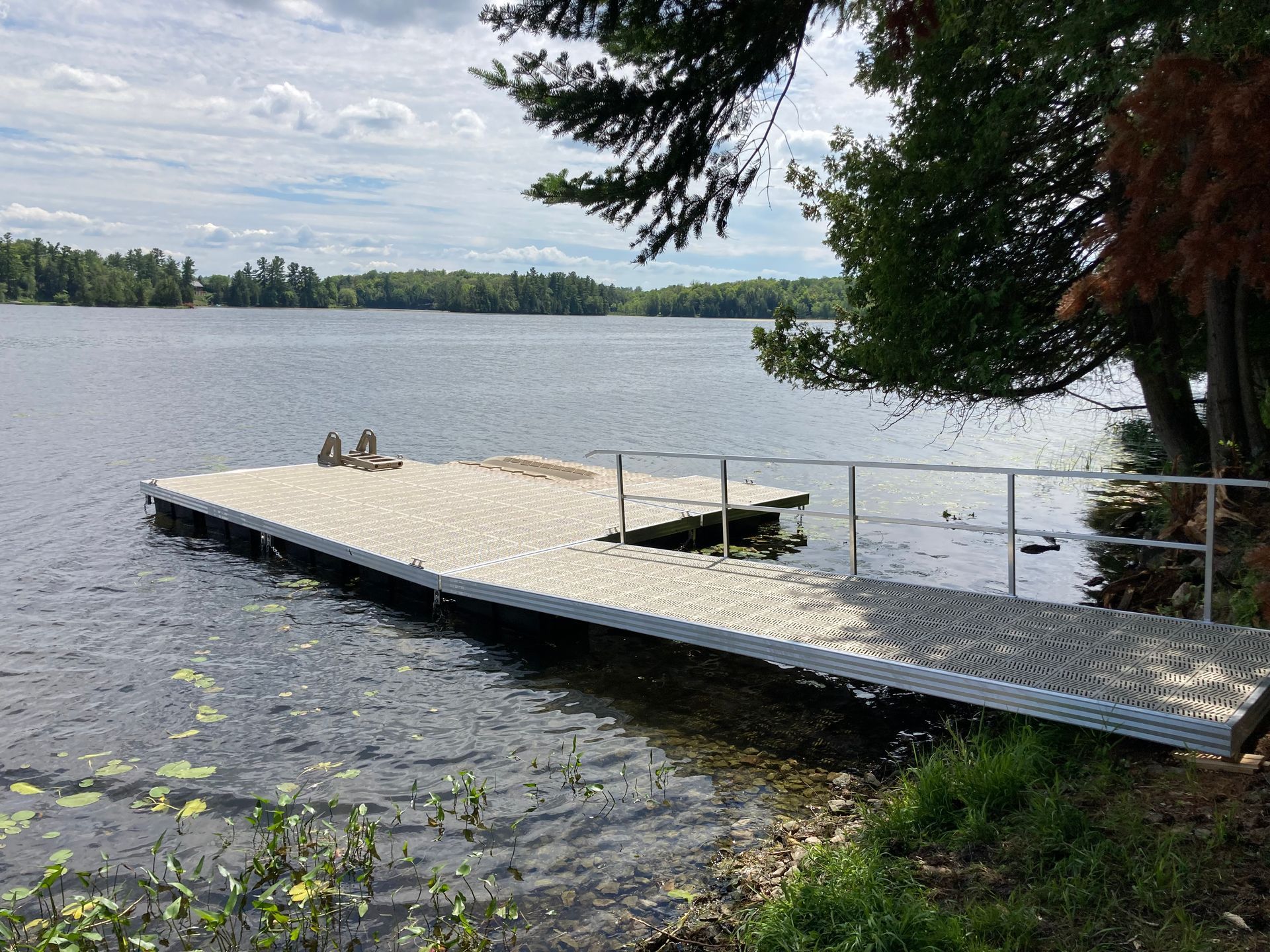 A dock is sitting on the shore of a lake.