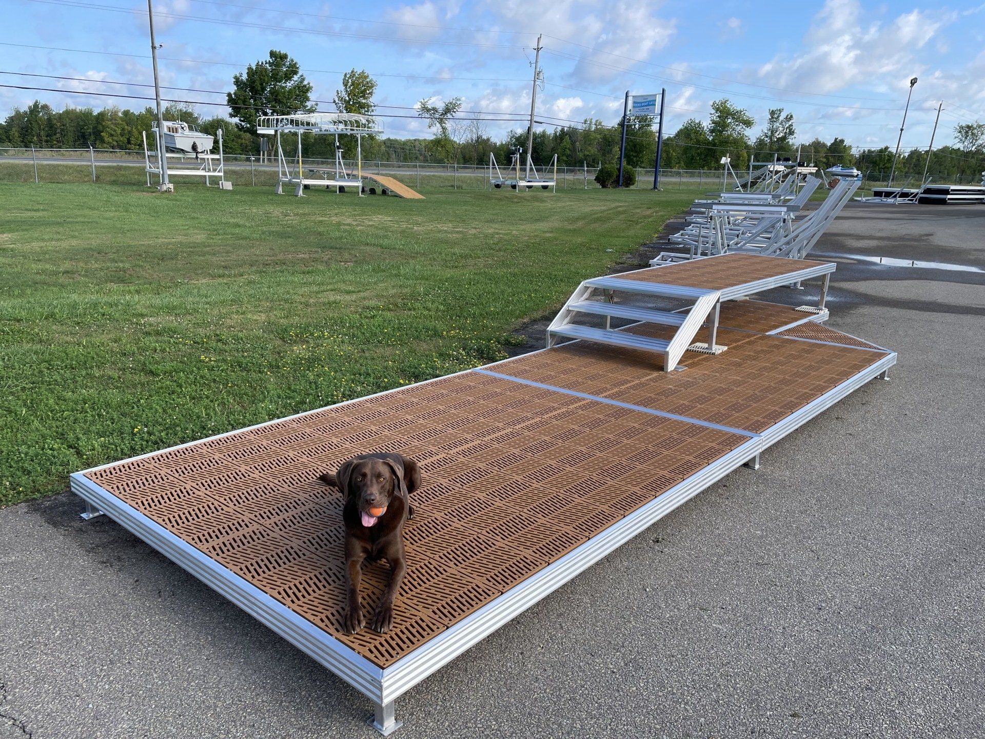 A dog is sitting on top of a wooden platform.