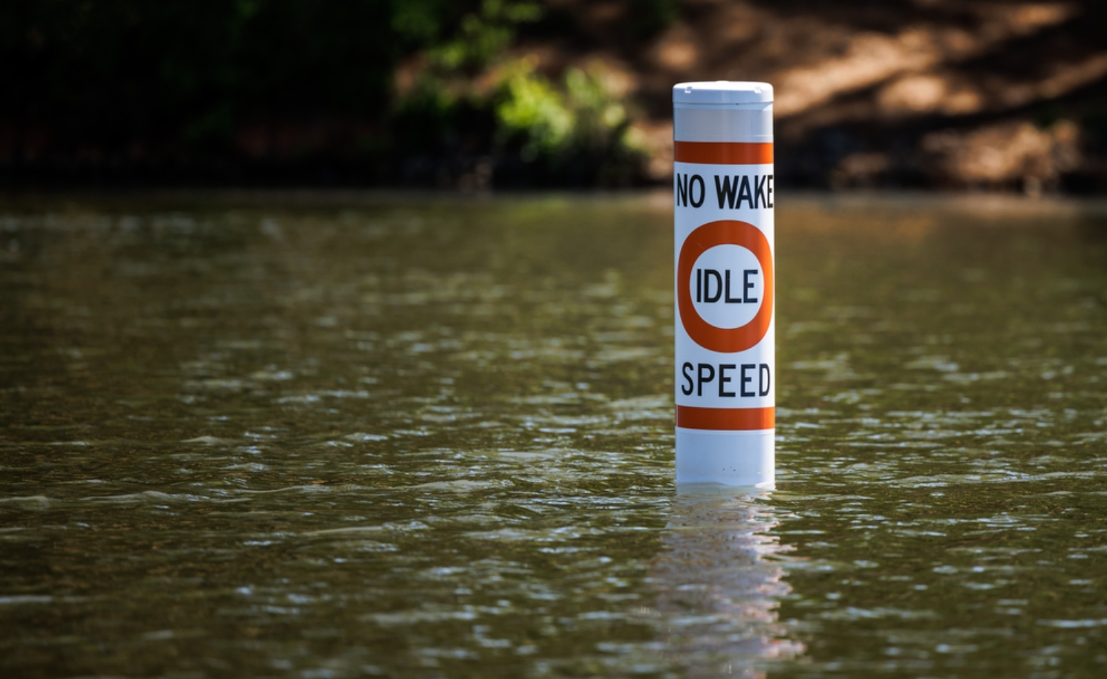 No-wake idle speed buoy standing in calm water near a shoreline.