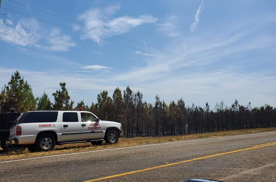 A white suv is parked on the side of the road next to a forest.