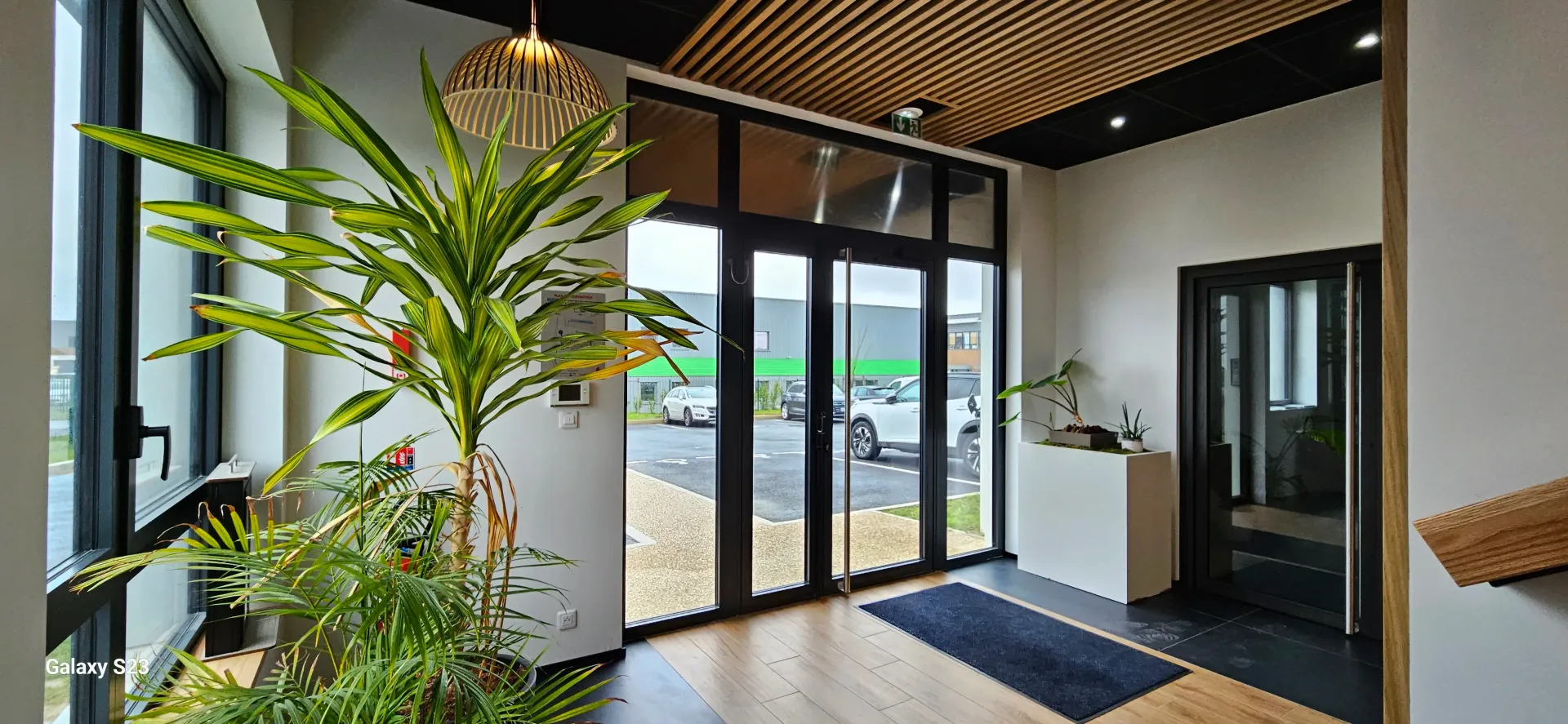 Une pièce avec beaucoup de fenêtres et une plante au milieu. Aménagement de bureaux et locaux professionnels - SPAC