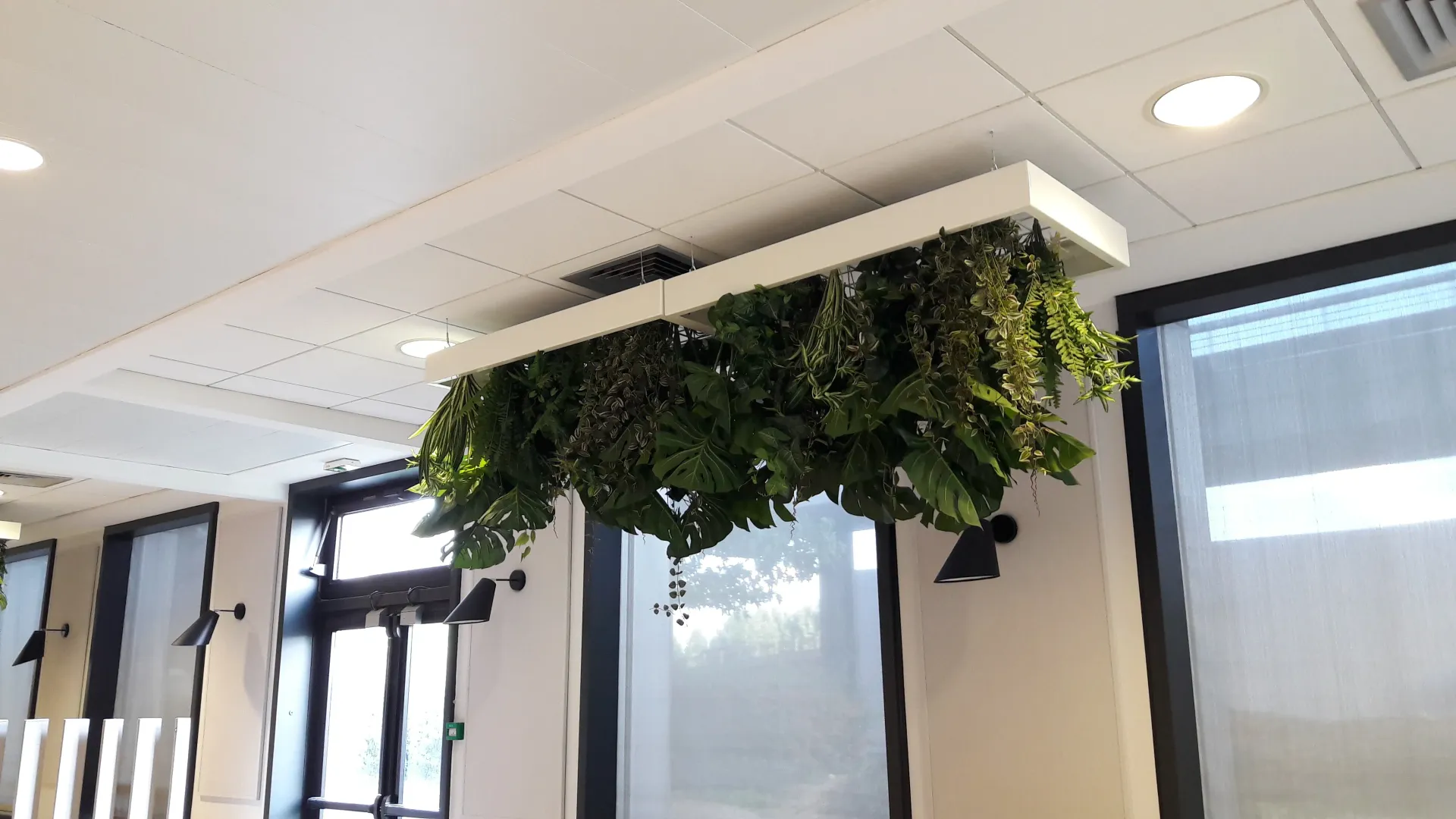 Une plante est suspendue au plafond d'une pièce. Aménagement de bureaux et locaux professionnels - SPAC