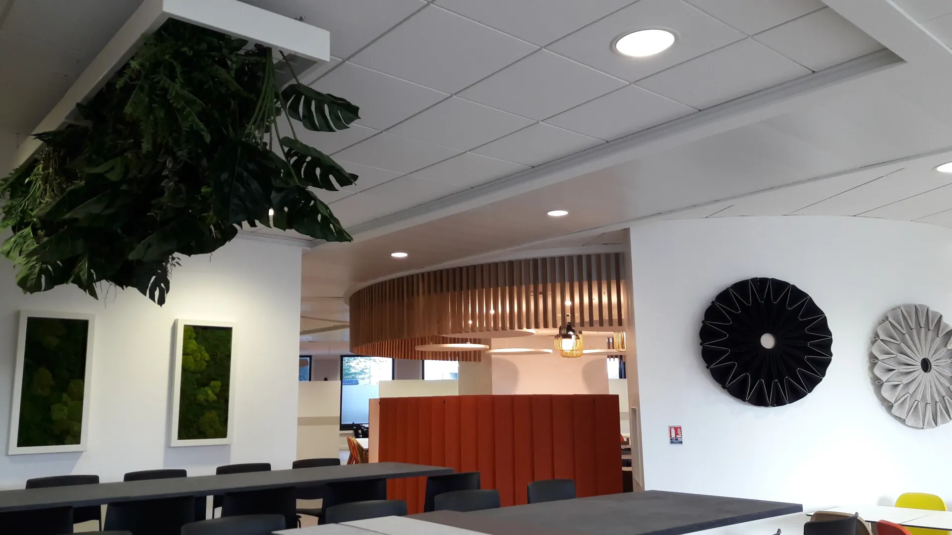 Une pièce avec des tables et des chaises et un arbre suspendu au plafond. SPAC