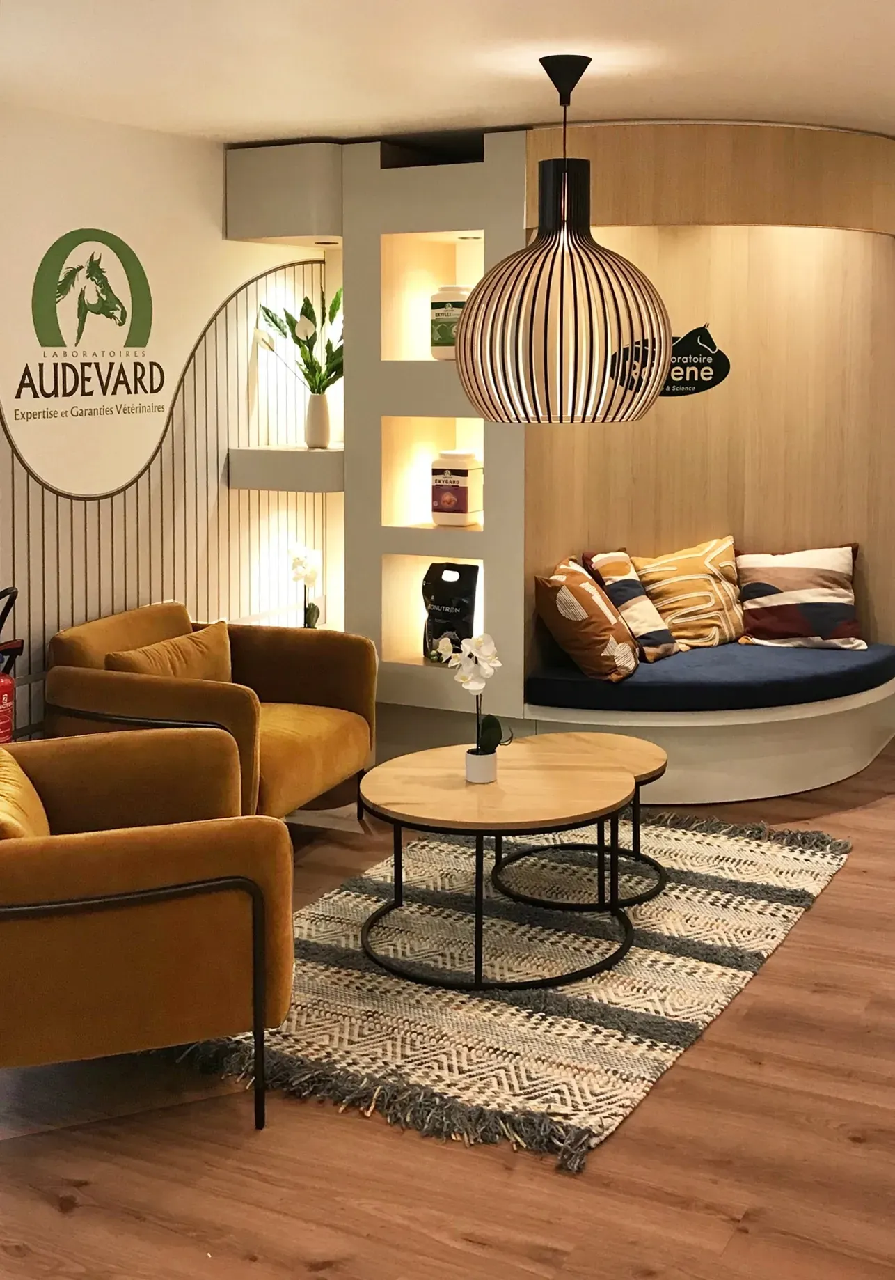 Un salon avec un canapé, des chaises, des tables et un tapis. Aménagement de bureaux et locaux professionnels - SPAC