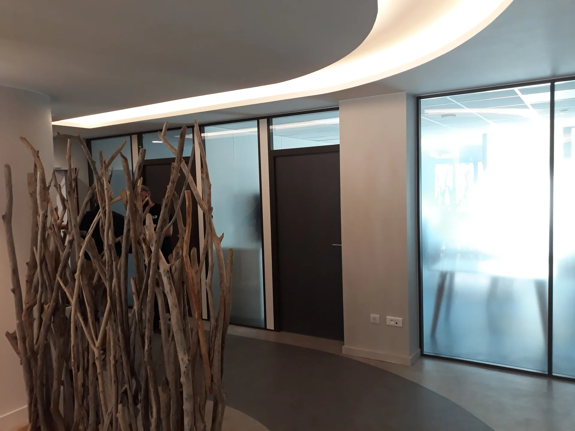 Une pièce avec une plante au milieu. Aménagement de bureaux et locaux professionnels - SPAC