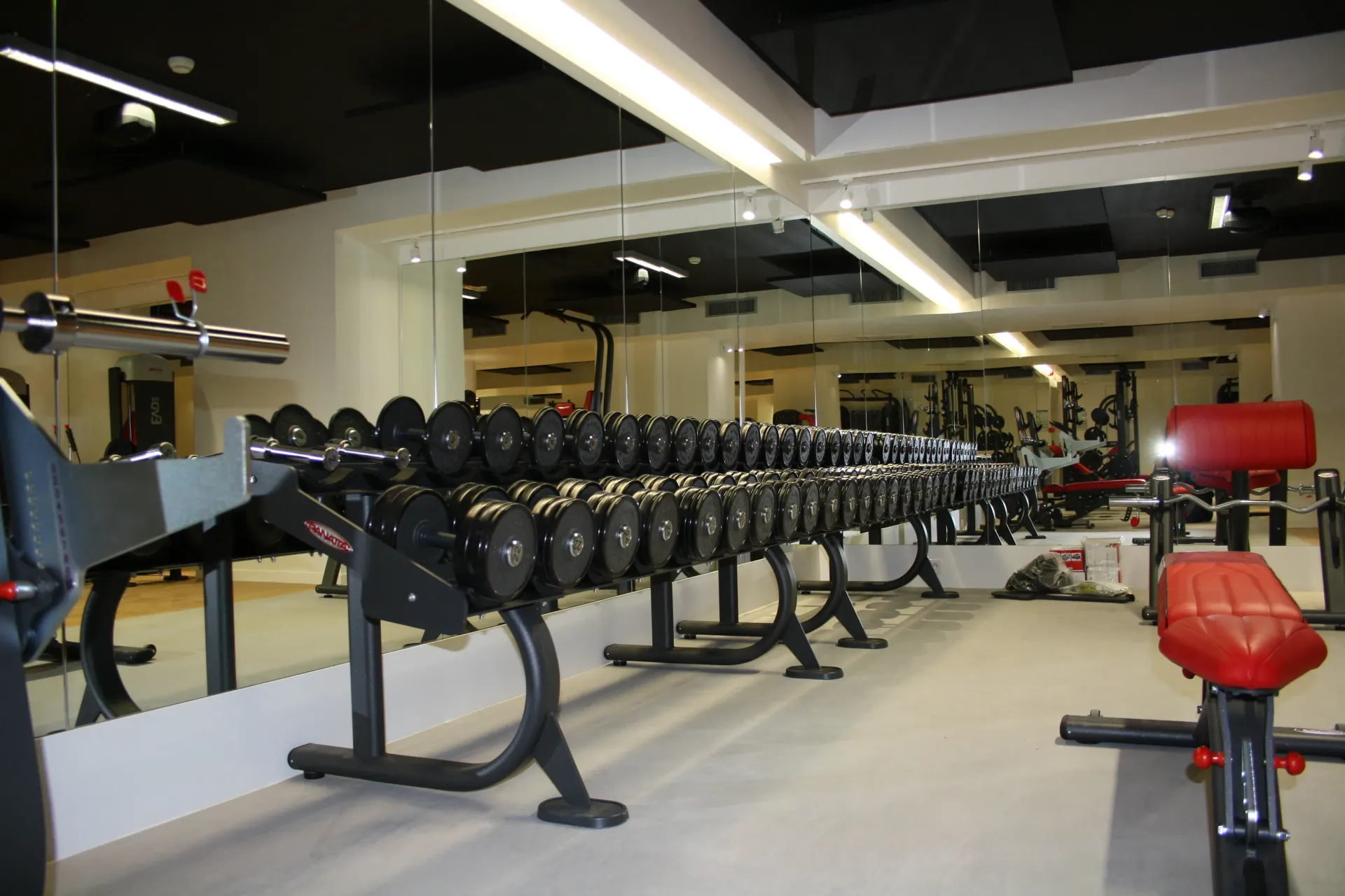 Une rangée d'haltères est alignée dans une salle de sport. Aménagement de bureaux et locaux professionnels - SPAC