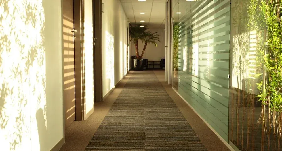 Un long couloir dans un immeuble de bureaux avec une plante sur le mur. Aménagement  SPAC