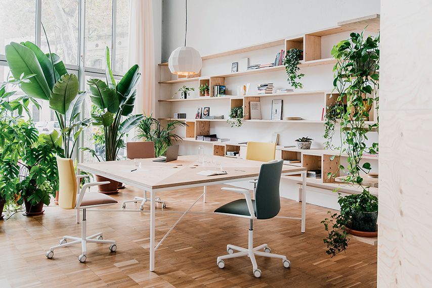 Een kamer met een tafel, stoelen, planken en planten.