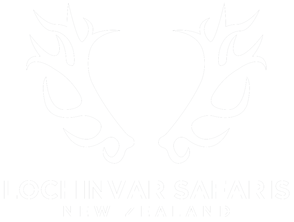 new zealand safaris guides