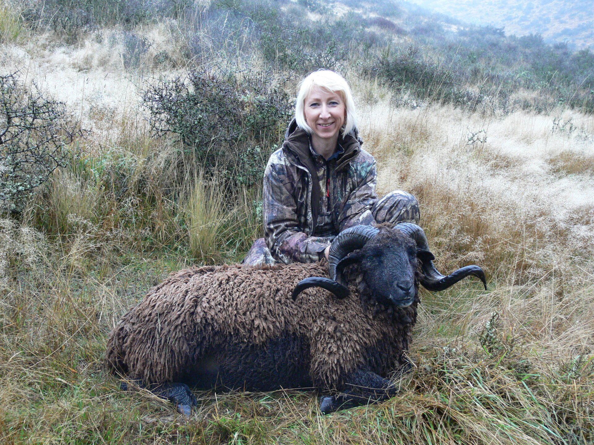 Trophy Hunting for Arapawa Ram - Lochinvar Safaris New Zealand