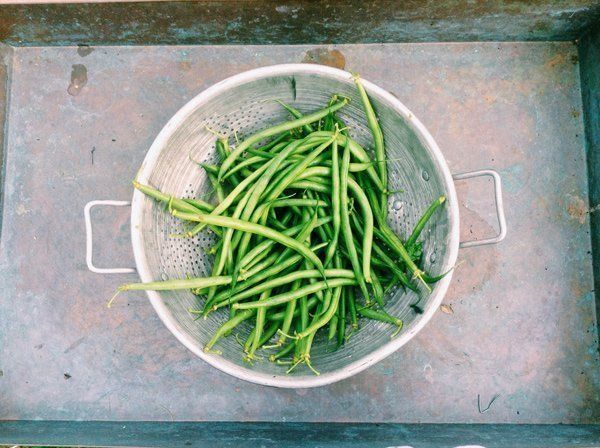A bowl of green beans is sitting on a tray.