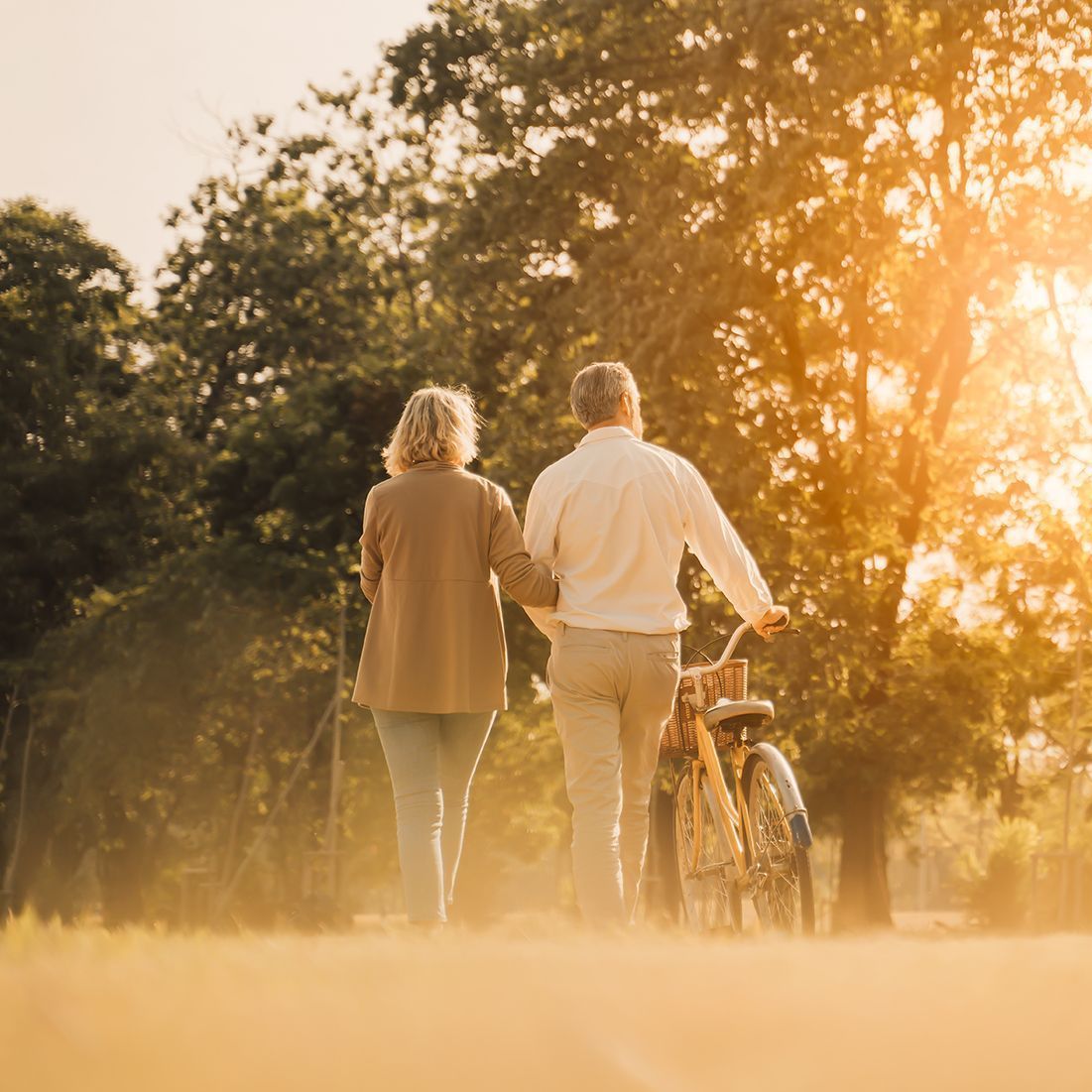 Two people walking arm-in-arm in a park at sunset, accompanied by a bicycle.