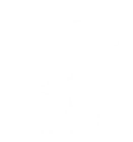 LYON FINANCIAL Logo