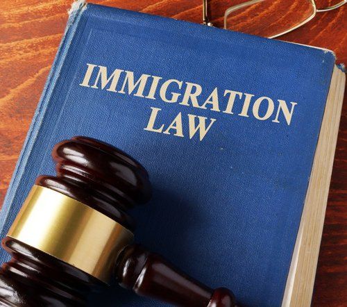 Book with Title Immigration Law — De Pere, WI — One Law Group S.C