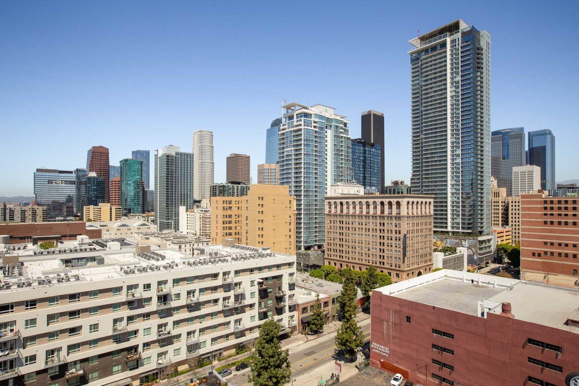 Downtown LA Skyline | 939 Broadway Lofts
