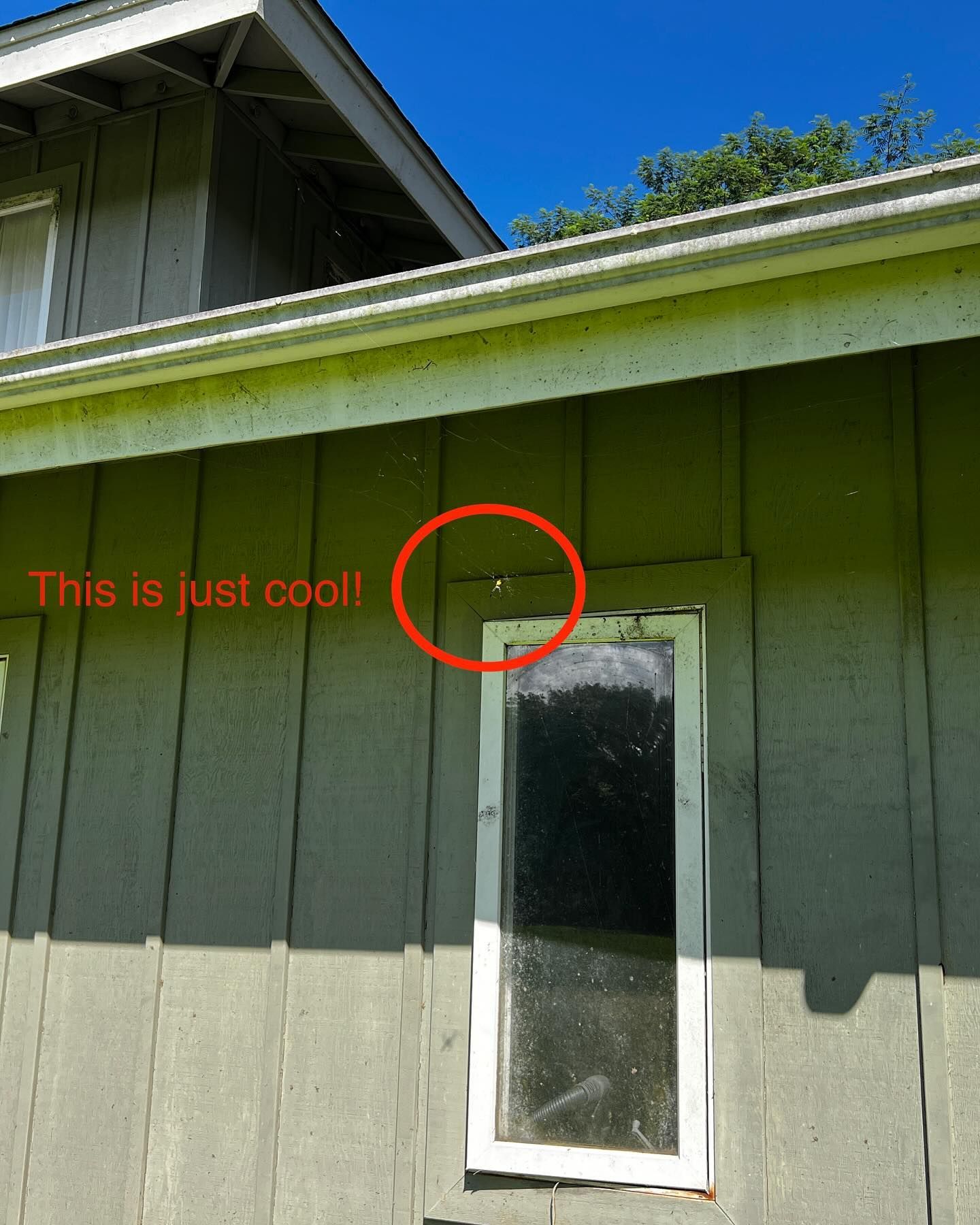 A picture of a house that says this is just cool