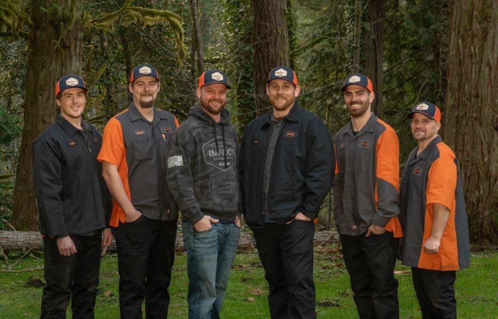 Team photo | Impact Automotive