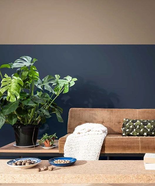 Shavano Interiors 22