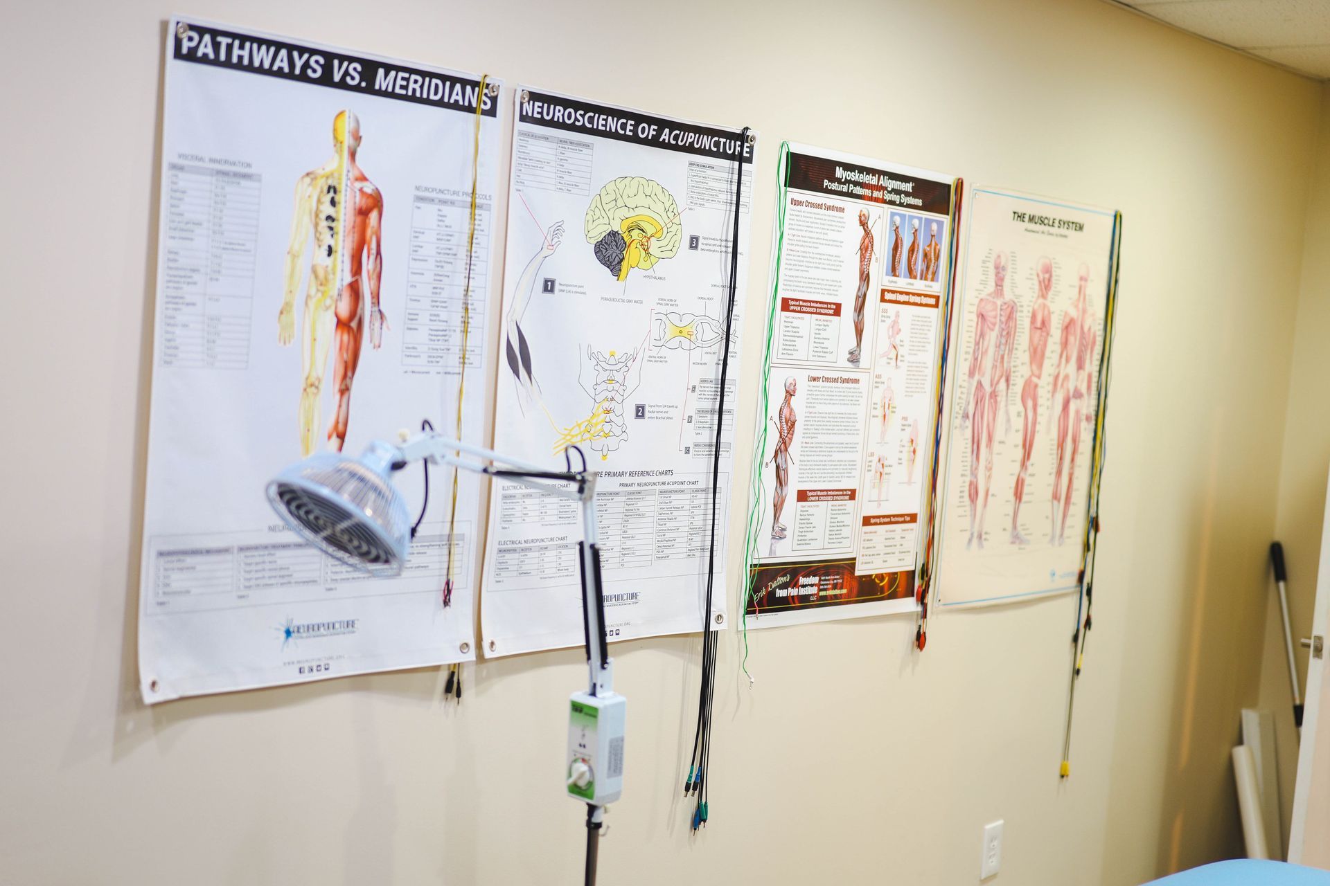 wall in a room Room in Integrative health partners