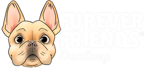 A dog's face next to white text that says "HUNGRY FRIENDS."