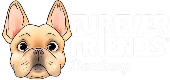 A dog's face next to white text that says "HUNGRY FRIENDS."